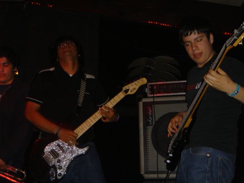 ivguitarwsg.jpg